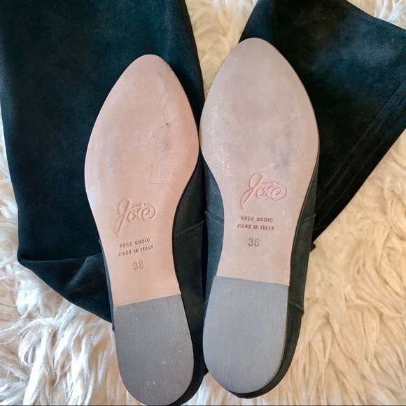 FINAL PRICE NWT Joie Adelaide Suede Tassle Boot - Picture 4 of 6